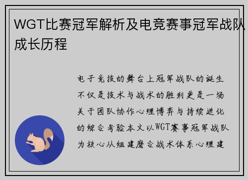 WGT比赛冠军解析及电竞赛事冠军战队成长历程